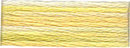 4080 Daffodil Fields