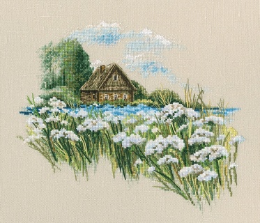 Теплый мир цветущего лета (луг с ромашками)