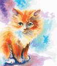 Солнечный котёнок
