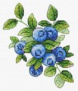 Лесная черника (11*10 см)