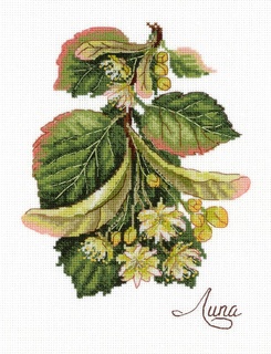 Дары природы. Липа (12*17 см)