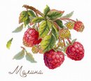 Дары природы. Малина (14*13 см)