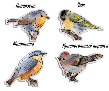 Звонкие птички. Магниты (6*9 см) (пластиковая канва)